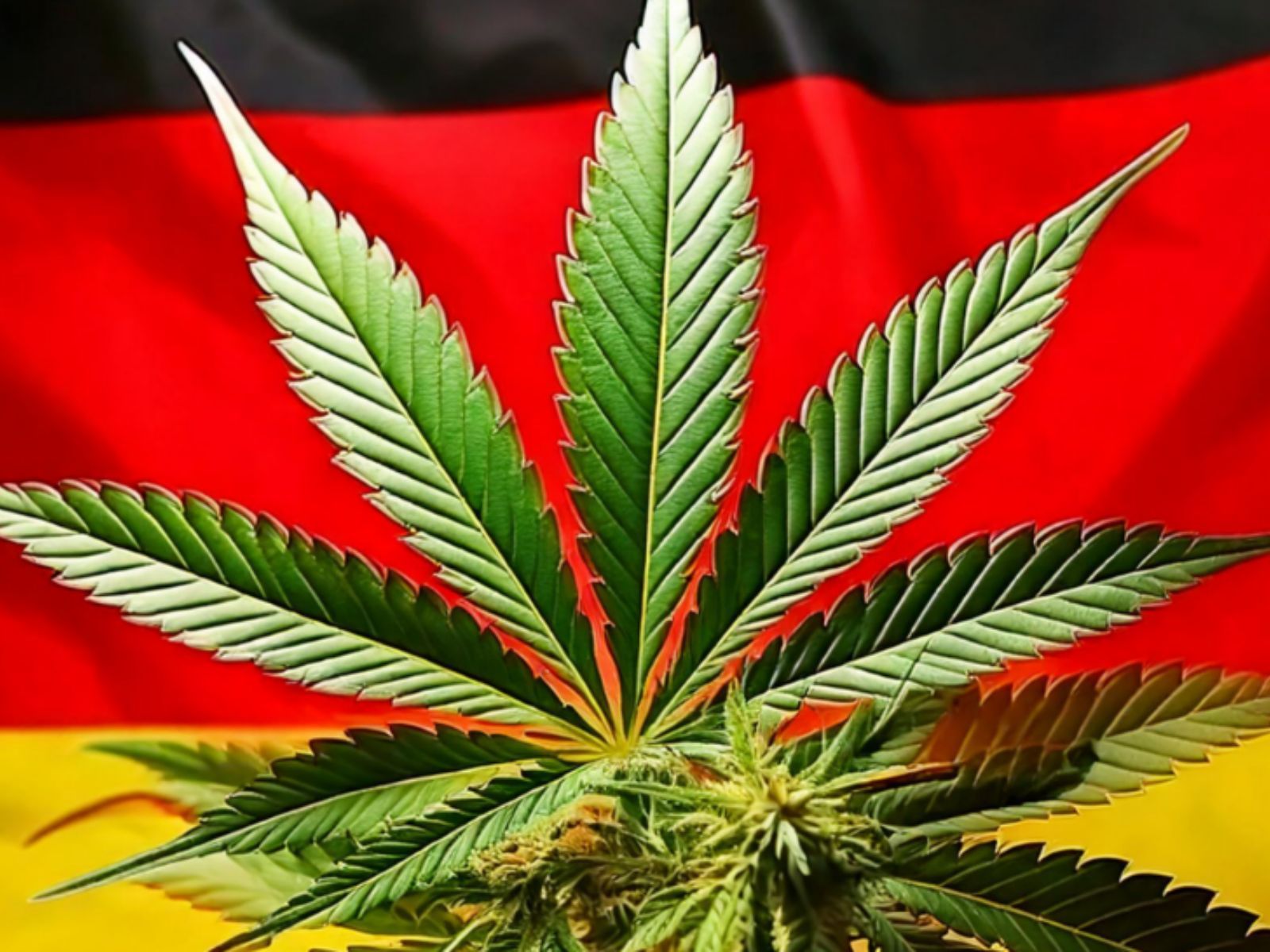 germany cannabis