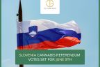 Slovenia Cannabis Referendum - 1600x1200