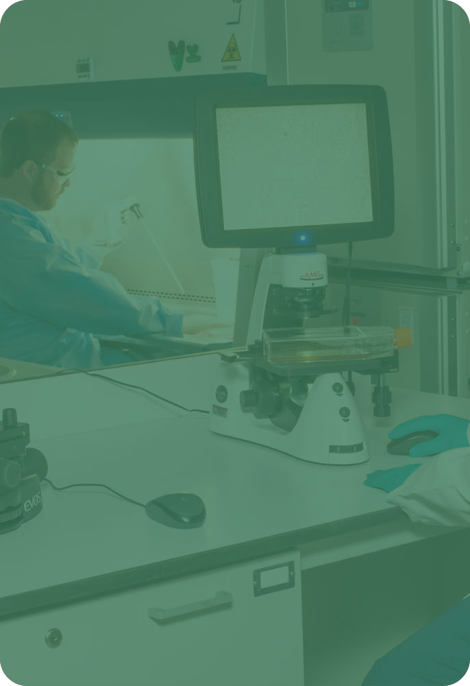 research and development mobile