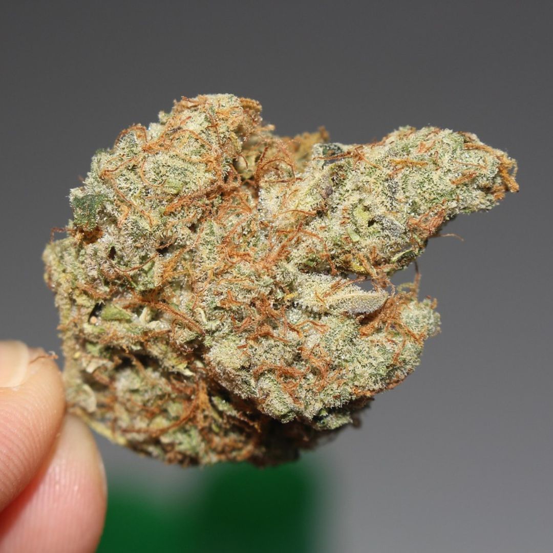 cannabis flower nug bud (1)